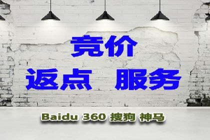 SEM外包服务应用案例分析