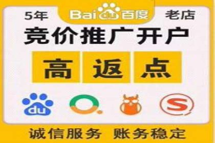 竞价推广SEM托管策略优化——某科技公司的成功经验